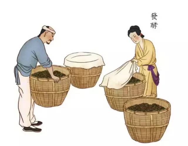 红茶工艺1.jpg