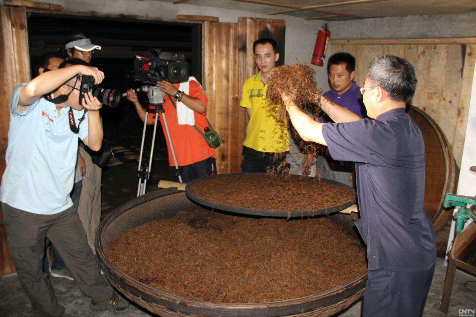红茶发酵.jpg