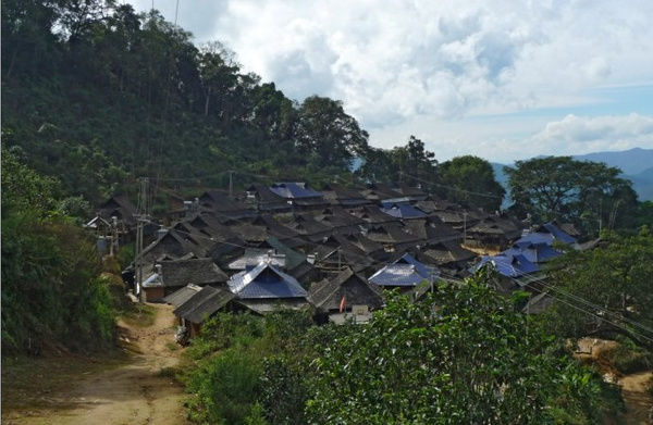 布朗山.jpeg