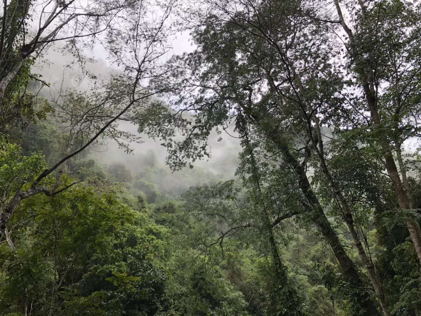 微信图片_20180922151036.jpg