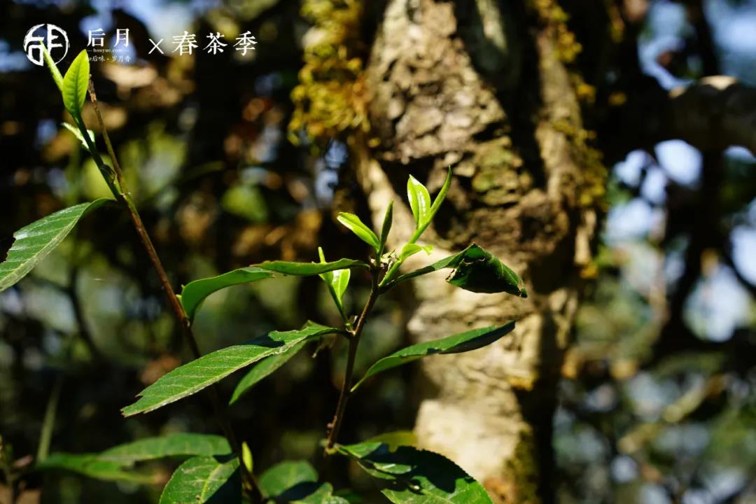 微信图片_20210909115136 2021090911534566043