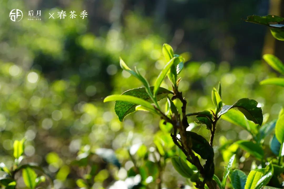 微信图片_20210910105046 2021091010532973052
