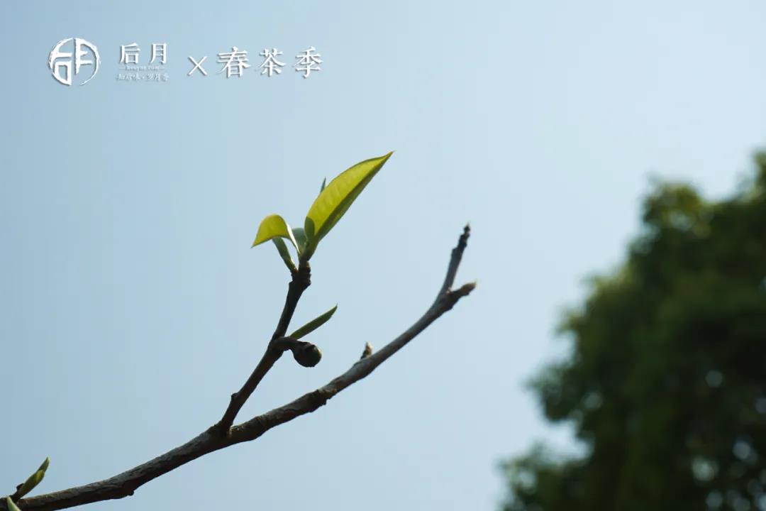 微信图片_20210913105532 2021091310580530490