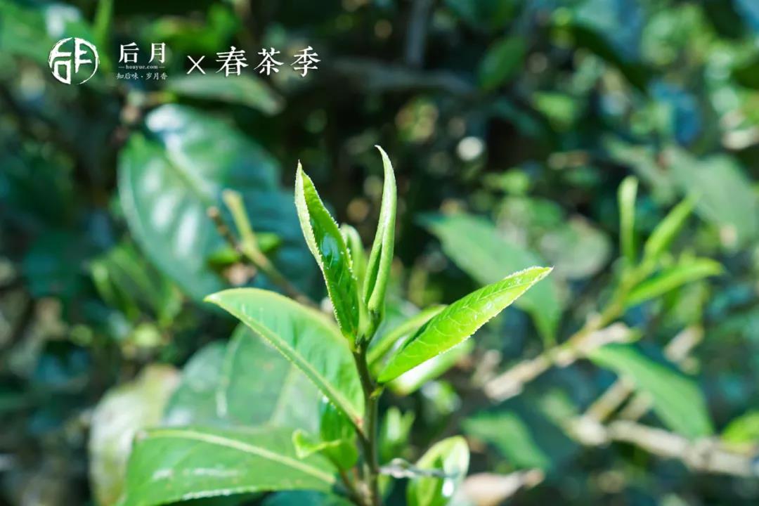 微信图片_20210916104008 2021091610424619353