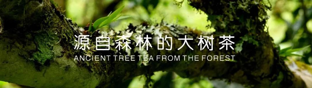 微信图片_20211008154043 2021100803411871099