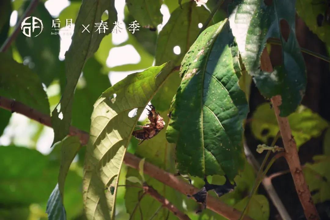 微信图片_20211020111039 2021102011124946064