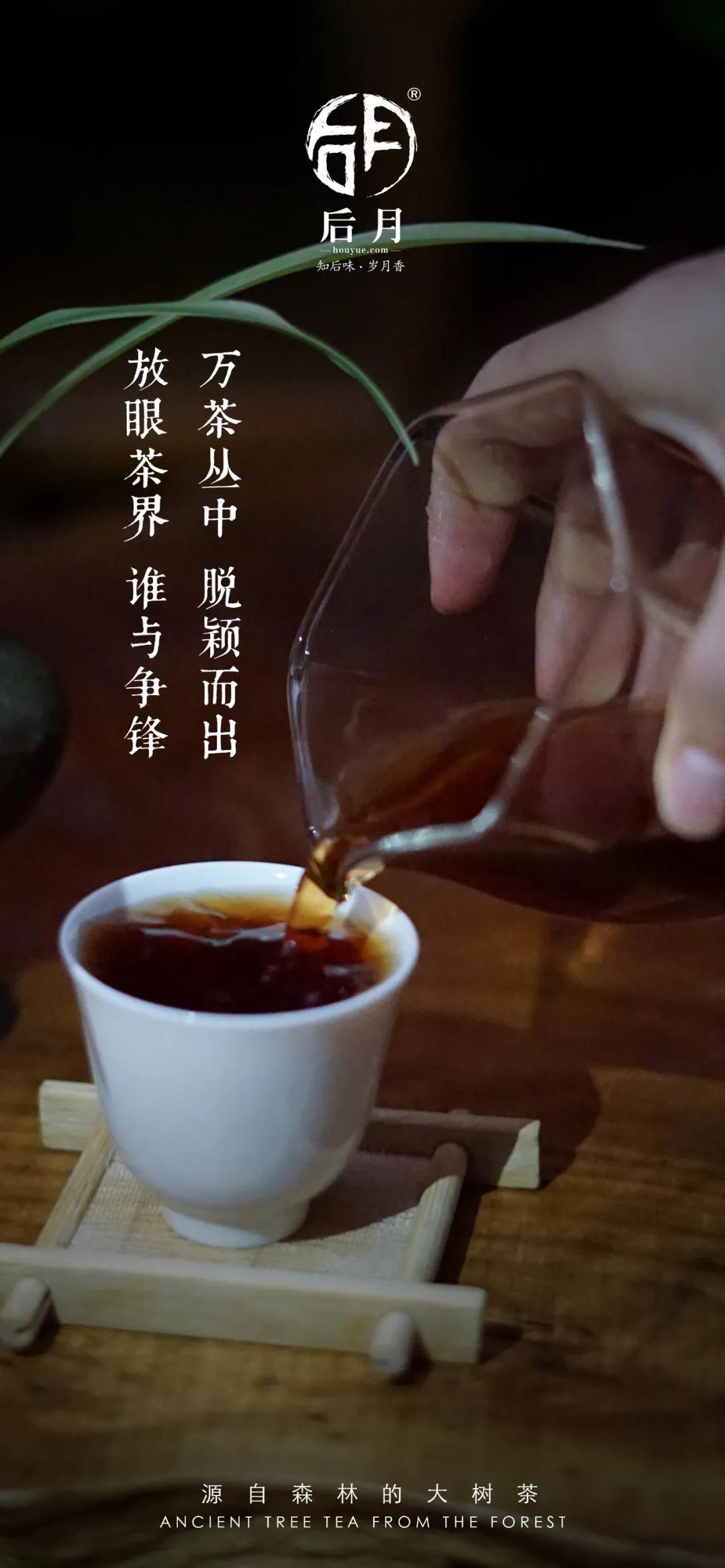 微信图片_20211123140012 2021112302021493564